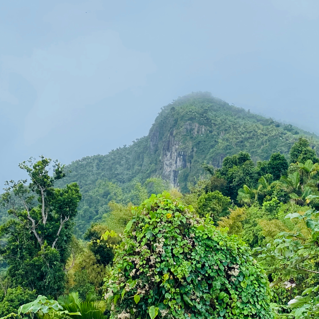 A Different Culture In Puerto Rico